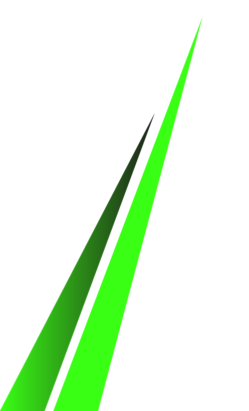 shape